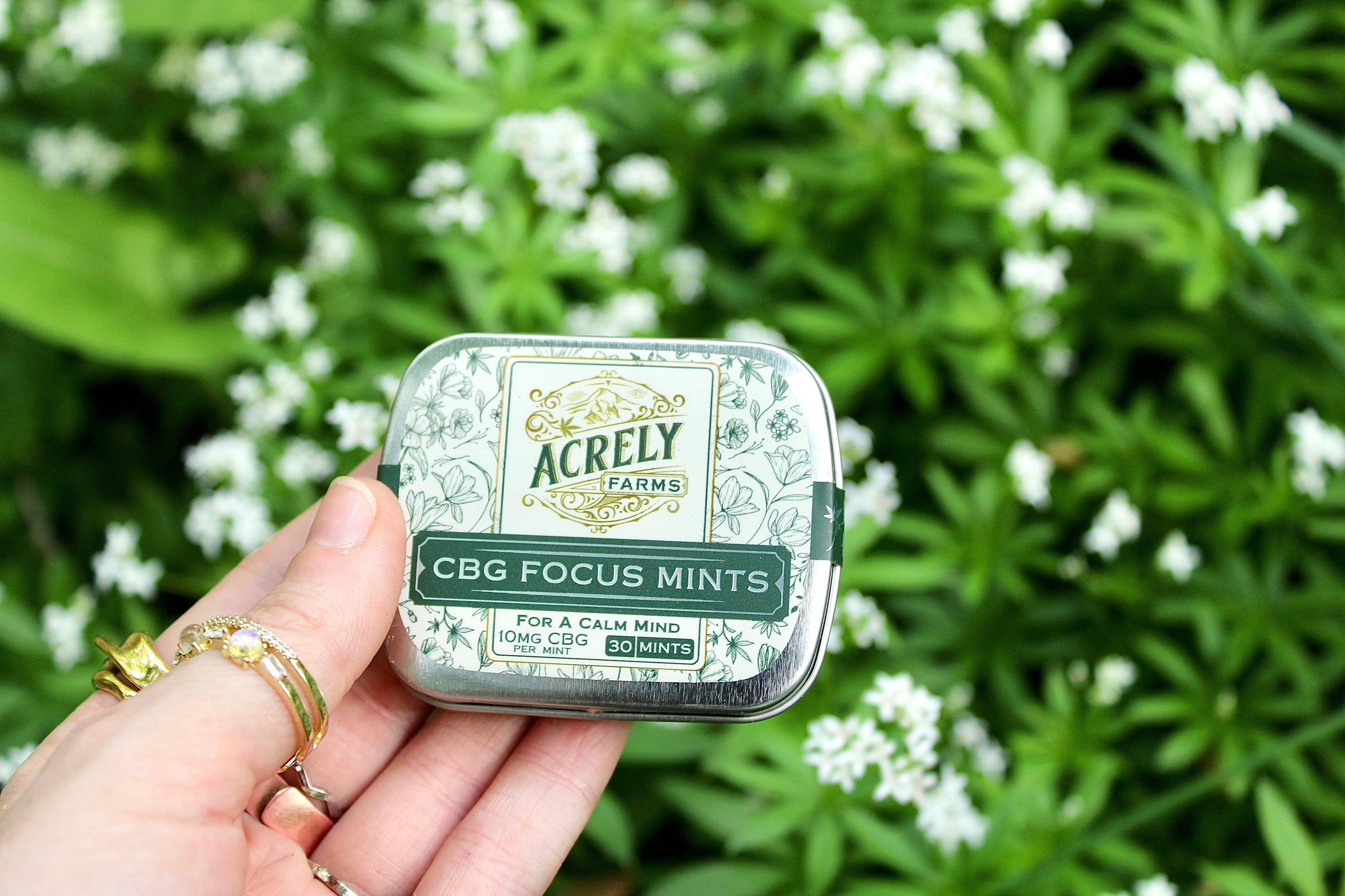 Natural Alternative for Caffeine: Why CBG May Be the Boost You Are Looking For