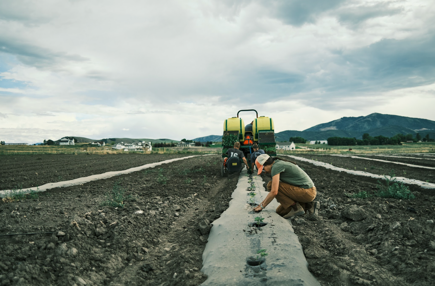 What Makes Acrely Farms CBD Different?