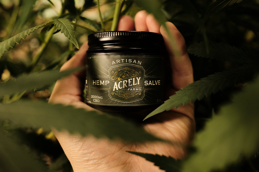 Hand holding a jar of Acrely Farms Hemp Artisan Salve among green hemp leaves