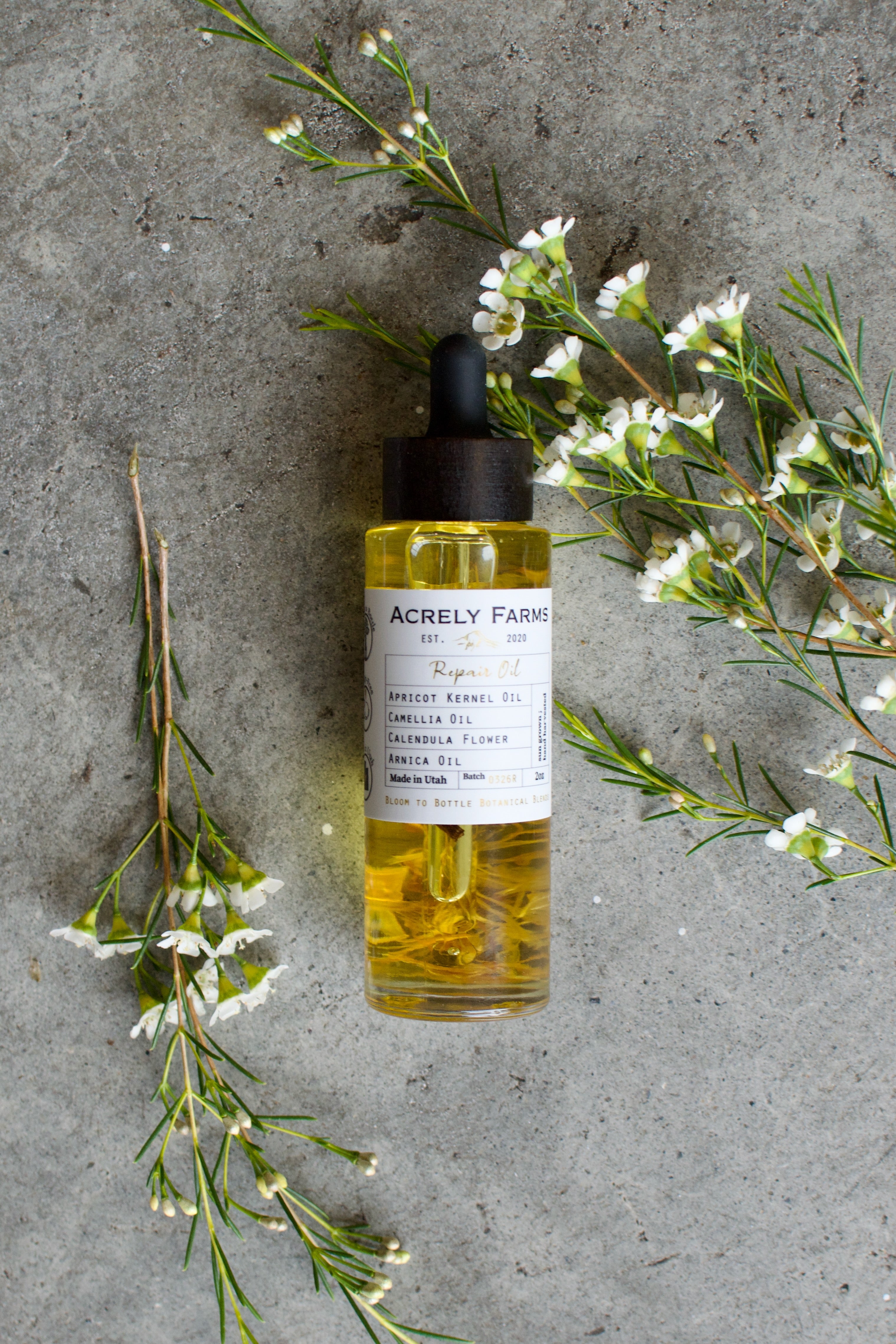 Botanical Bliss Gift Set