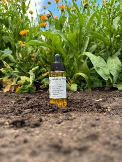Calendula infused Repair Oil with Arnica at Acrely Farms