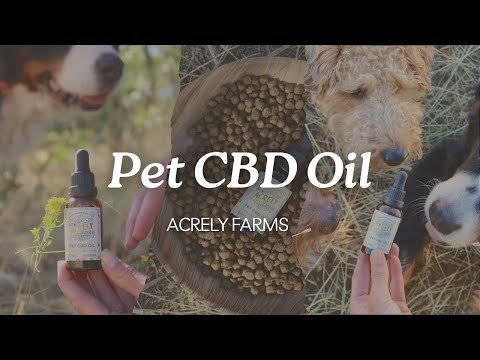 Pet CBD Oil