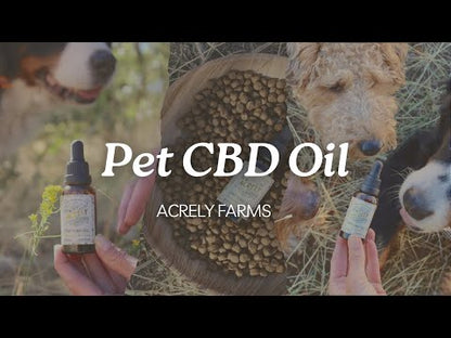 Pet CBD Oil